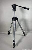 Full view of the Manfrotto tripod standing with legs extended showing the pan-tilt head and adjustable handle.