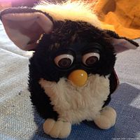 Front view of black and white Furby showing brown eyes, yellow beak, white tummy, paws, and ears with pink inner lining, set on blue textile surface.