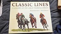 Cover of the book showing the title and colorful illustrations of four thoroughbred racehorses with jockeys.