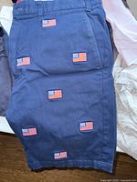 Men's navy shorts with multiple American flag embroidered patches, size 33 waist Castaway brand label visible.