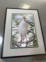 Framed photograph showing a white heron standing on tree branches with green foliage in background, captured in natural light.