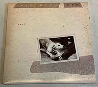 Front cover of Fleetwood Mac's album 'Tusk' showing album title and dog image.