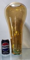 Golden see-through glass vase with a Pepsi can for size reference. Tall and smooth with rounded top, glossy surface.