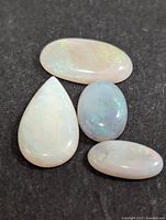 Four genuine Australian opal cabochons on black background showing colors and shapes.