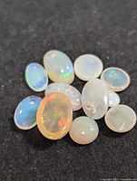 Genuine natural opal cabochons of various sizes and shapes displayed on black background illustrating play-of-color and translucence.