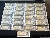 Overview of all 25 consecutive banknotes laid out in rows on dark surface