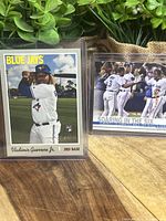 Two Vladimir Guerrero Jr. rookie baseball cards displayed upright with plants in background. One card shows batting stance, the other shows group celebration scene.