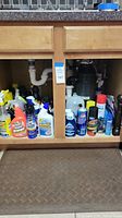 Under-sink cabinet showing variety of cleaning supplies including spray bottles, liquid and powder containers in different brands and sizes.