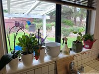 View from kitchen window showing all plants, pots, and spray bottle lined on windowsill.