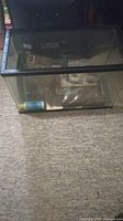 Glass aquatic or pet tank measuring about 20x12x12 inches, sitting on carpet with black mesh lid and various pet care accessories inside such as water bottle and filter.