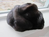 Close-up photo of a dark brown fur hat placed on a windowsill showing its texture and shape.