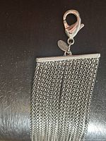Close-up of lobster clasp with small EXPRESS brand tag attached showing mesh chain detail of the bracelet.