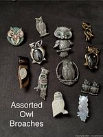 Photo showing 12 unique owl brooches in various materials and designs against a dark background.