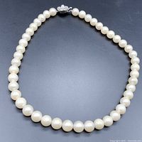 Full strand of round pearls laid flat showing clasp at top