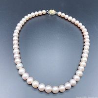 Full view of pearl necklace laid flat showing round pearls and silver clasp