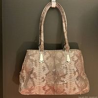 Full view of DANIER leather handbag with snakeskin pattern, double straps, and silver-tone hardware.