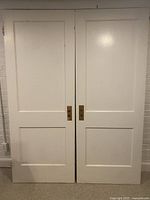 Two solid wood painted interior doors side by side showing panel design and overall condition.