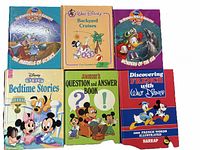 Photo showing six Disney-themed books arranged in two rows of three with colorful cartoon covers