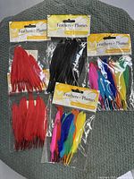 Photo of six sealed plastic bags containing bright natural and dyed feathers in red, black, and rainbow colors, labeled 'Feathers - Plumes'.