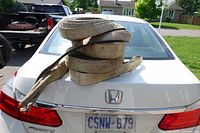 Four used nylon lifting belts coiled on car trunk
