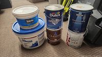 Lot showing all paint cans, drywall mud tub, and lubricant.