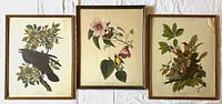 Full view of the three framed lithograph prints hung on a brick wall: black crow, bird with pink flowers, and nesting bird with chicks