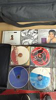 Photo showing multiple CDs in a black zippered binder case. Includes some identifiable CDs and generic discs in sleeve pockets.