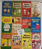Front cover view of twelve vintage Peanuts comic novels laid out in a grid, showing titles and main characters such as Charlie Brown and Snoopy. Covers show varying wear and creasing.