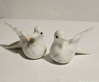 Front angled view of two marble doves showing their rounded bodies and raised wings