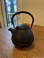 Front angled view of kettle showing spout, handle and lid with textured cast iron surface.