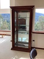 Front view of full cabinet showing wood frame, glass door, shelves and mirrored back