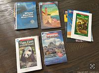 Photo of 22 Raz books and 3 extra books showing covers including Whale Sharks, Wild Swan, Tian Tian, Istanbul, and The Hunting Trip.