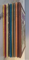 Side view of 10 Serendipity hardcover books spines showing colorful bindings and titles.