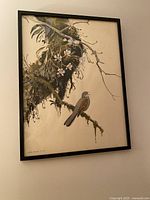 Full view of the framed print showing a brown-backed solitaire bird on a branch with moss and leaves.
