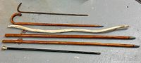 Photo showing all six walking sticks laid out on gray floor, various styles including curved handles, natural branch style, black stick with brass handle, thin metal rod with hook.