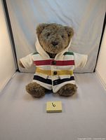 Full frontal shot of teddy bear sitting, showing striped hoodie and buttons.