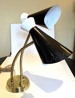 Lamp showing side view of the double gooseneck lamp with black metal shades and inside white, brass flexible necks and base.