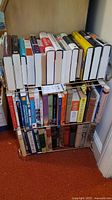 Books arranged on two shelves with spines visible showing mix of hardcover and paperback books.