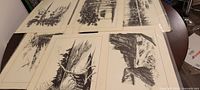 Photo showing six black and white prints arranged overlapping on a table, displaying various forest and wilderness scenes.