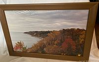 Full view of one framed photograph showing Scarborough Bluffs with autumn trees in brown wood frame
