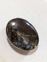Close-up image showing the oval polished surface of a Canadian Ammolite cabochon with natural iridescent colors and glossy finish.