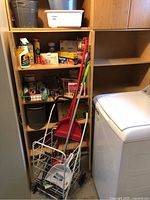 Overview of shelves with cleaning products, a basin, bucket, and various boxes and containers of household cleaning supplies next to a white washing machine.