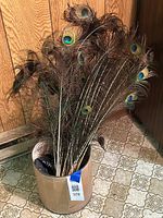 View of the container holding a bunch of natural peacock feathers standing upright, showing long stems and colorful eye patterns.