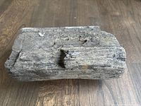 Top and side views of a single rectangular petrified wood specimen with grayish-black mineralized texture and fossilized wood detail.