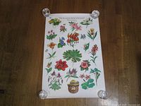 Front view of one poster with colorful flower illustrations and Smokey the Bear logo at the bottom.