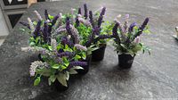 Set of eight artificial lavender plants displayed together on countertop.