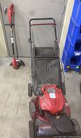 Wide view showing the Troy-Bilt mower with attached rear bag and the Homelite electric trimmer standing upright next to it.