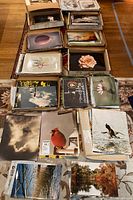 Top-down view of multiple cardboard boxes containing glossy color photographic prints; visible prints include a red hot air balloon, abstract star shape and pink rose