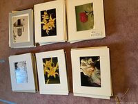 Stacks of matted photographs showing various nature and architecture images laid out on the floor.