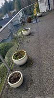 Photo showing five planters of varied sizes arranged outside on a balcony with glass railing.